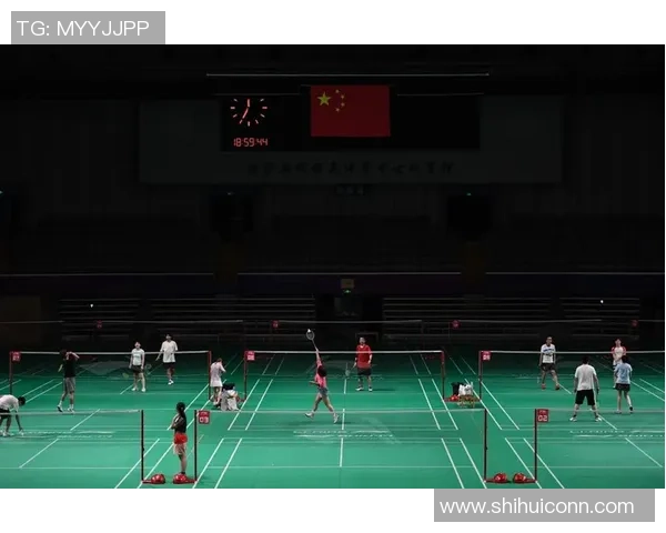 南京羽毛球队的阵地战解析与未来发展展望